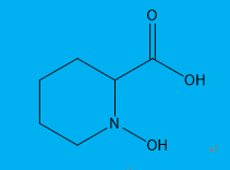 1-hydroxypiperidine-2-carboxylic acid